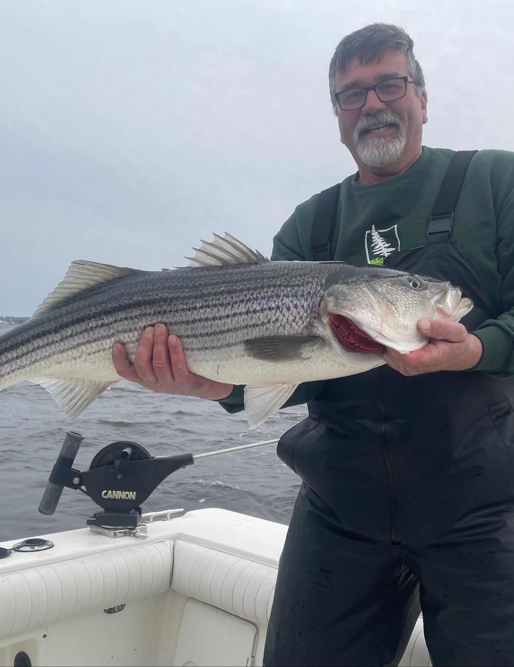 Stripers in the bay